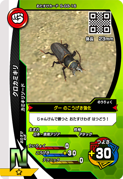 クロカミキリ（S-G3-16）［N］