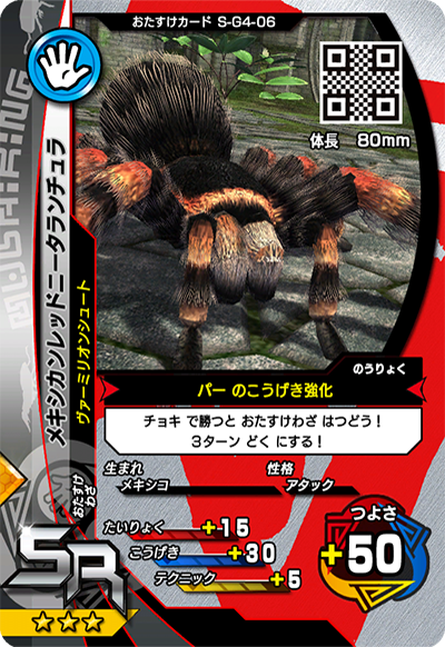 メキシカンレッドニータランチュラ（S-G4-06）［SR］