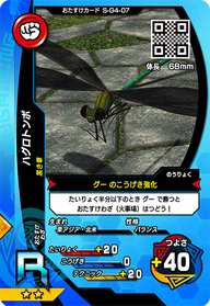 ハグロトンボ（S-G4-07）［R］
