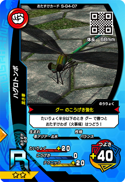 ハグロトンボ（S-G4-07）［R］