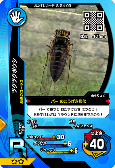 ツクツクボウシ（S-G4-09）［R］