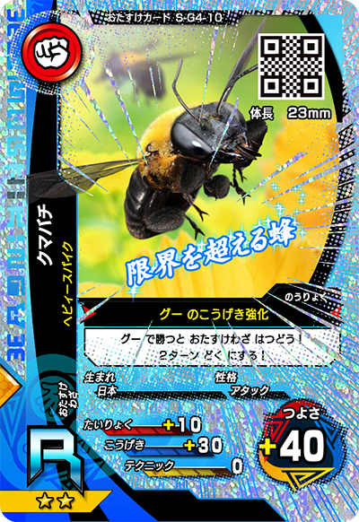 クマバチ（S-G4-10）［R］