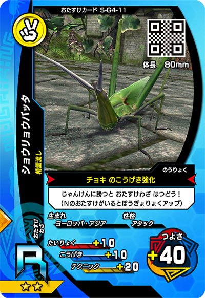 ショウリョウバッタ（S-G4-11）［R］