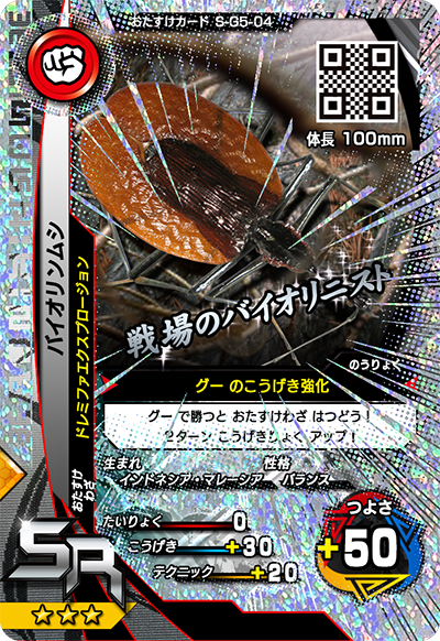 バイオリンムシ（S-G5-04）［SR］