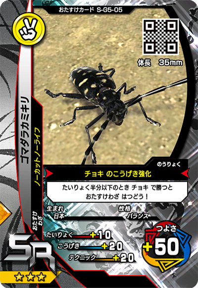 ゴマダラカミキリ（S-G5-05）［SR］