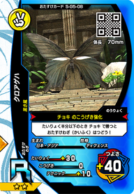 クロアゲハ（S-G5-08）［R］