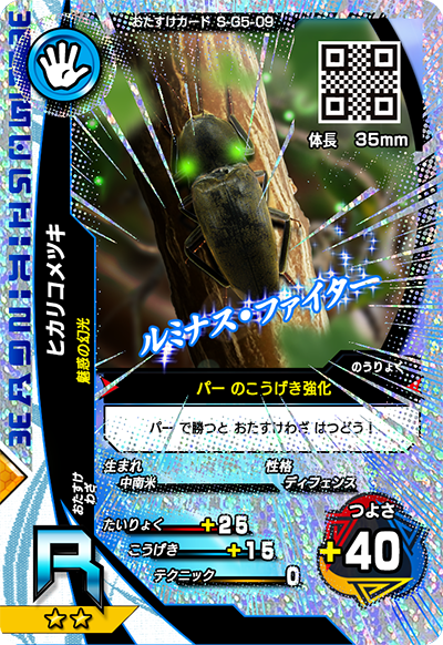 ヒカリコメツキ（S-G5-09）［R］