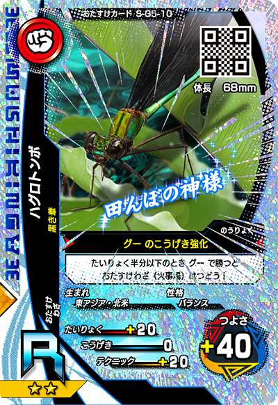 ハグロトンボ（S-G5-10）［R］