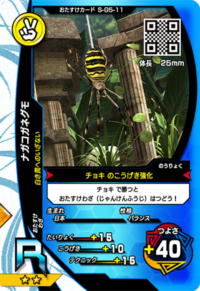 ナガコガネグモ（S-G5-11）［R］