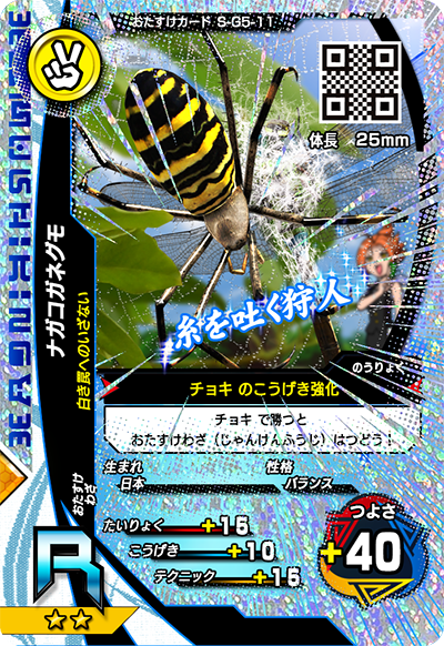 ナガコガネグモ（S-G5-11）［R］