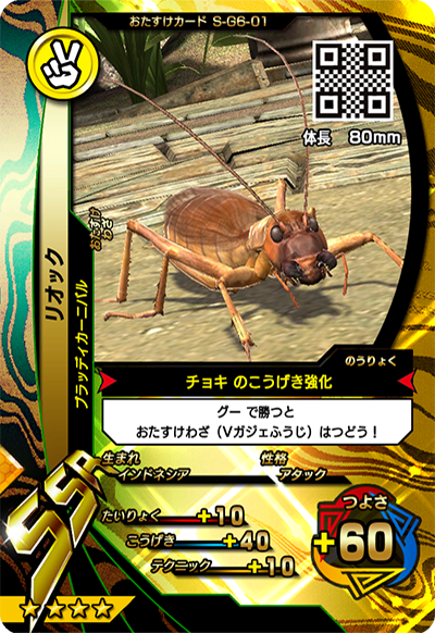 リオック（S-G6-01）［SSR］