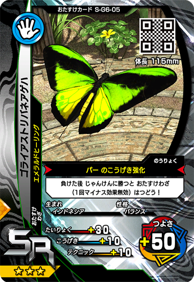 ゴライアストリバネアゲハ（S-G6-05）［SR］