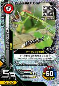 チョウセンカマキリ（S-G6-06）［SR］
