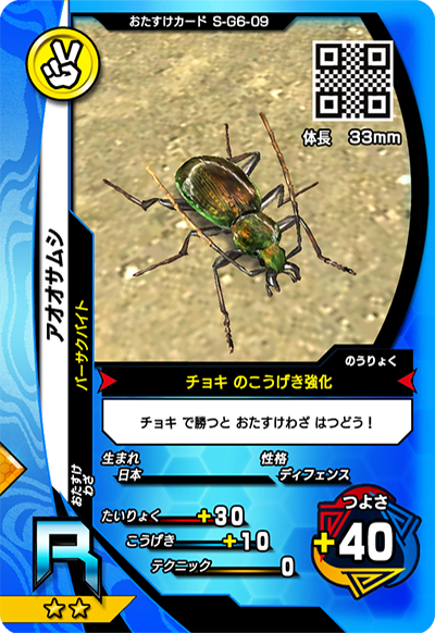 アオオサムシ（S-G6-09）［R］