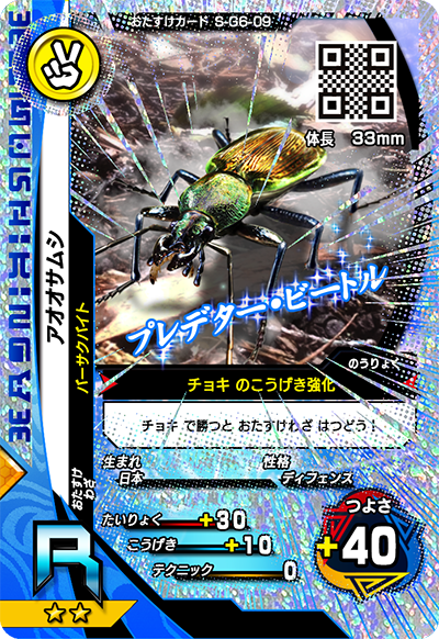 アオオサムシ（S-G6-09）［R］