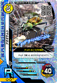 アオオサムシ（S-G6-09）［R］