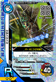 ミンミンゼミ（S-G6-10）［R］