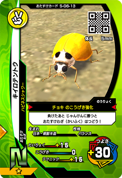 キイロテントウ（S-G6-13）［N］