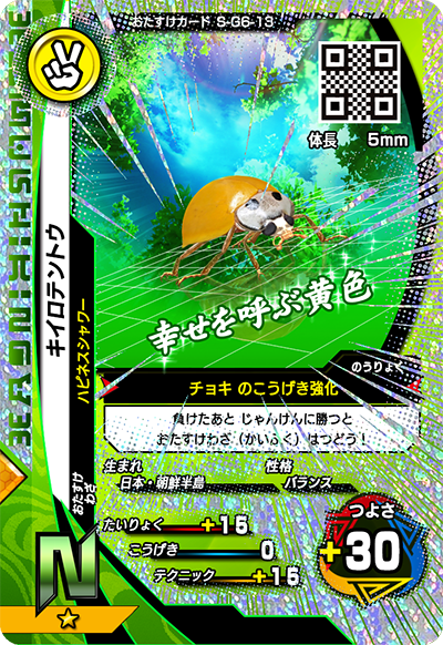 キイロテントウ（S-G6-13）［N］