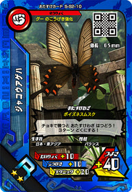 ジャコウアゲハ（S-S2-10）［R］