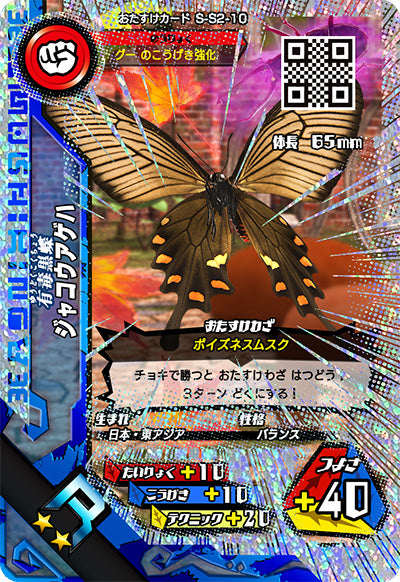 ジャコウアゲハ（S-S2-10）［R］