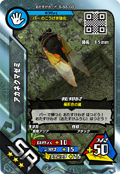 アカネクマゼミ（S-S3-03）［SR］