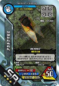 アカネクマゼミ（S-S3-03）［SR］