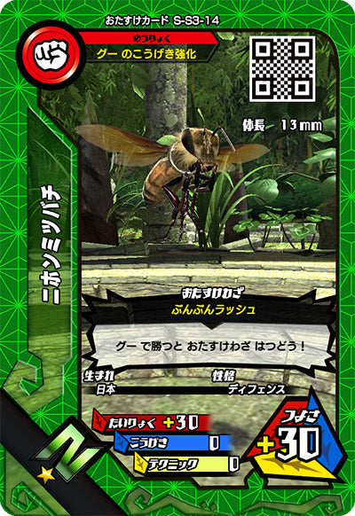 ニホンミツバチ（S-S3-14）［N］