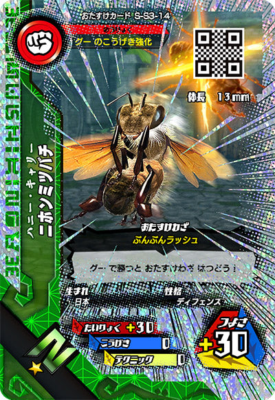 ニホンミツバチ（S-S3-14）［N］
