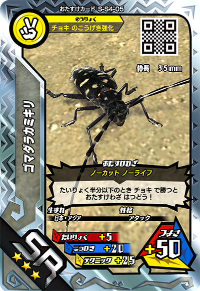 ゴマダラカミキリ（S-S4-05）［SR］