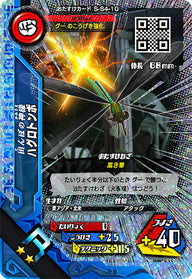 ハグロトンボ（S-S4-10）［R］