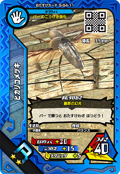 ヒカリコメツキ（S-S4-11）［R］