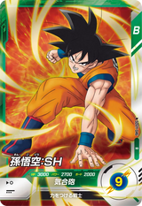 孫悟空：ＳＨ（SDV11-046）［R］
