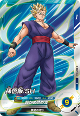 孫悟飯：ＳＨ（SDV11-048）［R］