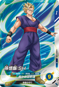 孫悟飯：ＳＨ（SDV11-048）［R］