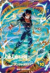 人造人間１７号（SDV4-026）［GDR］
