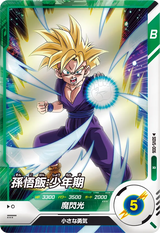 孫悟飯：少年期（SDV5-006）［R］