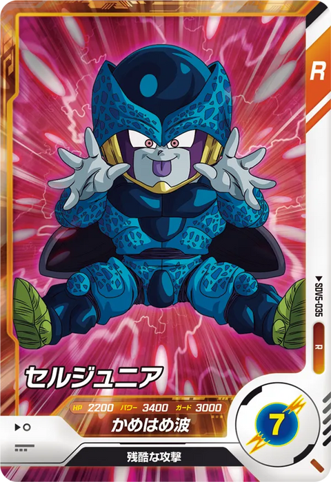 セルジュニア（SDV5-035）［R］