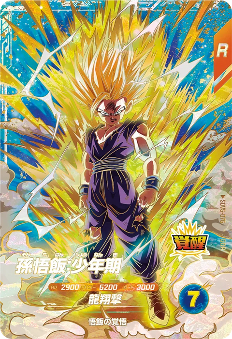 孫悟飯：少年期（SDV5-076）［GDR］