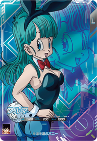 ブルマ（SDV5-LPUR1）［PUR］