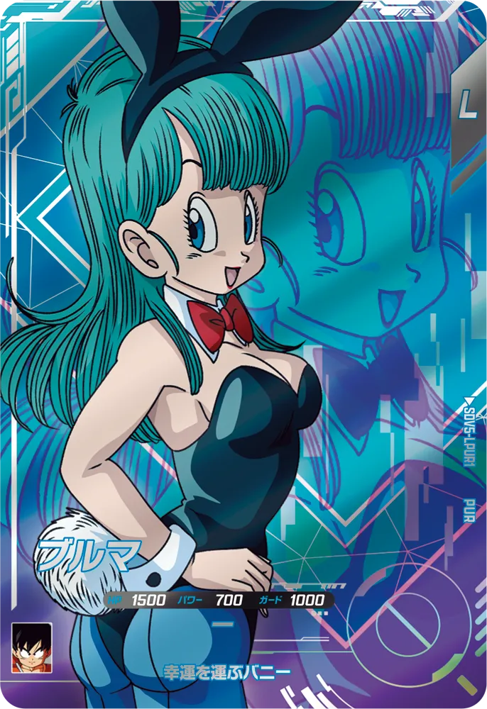 ブルマ（SDV5-LPUR1）［PUR］