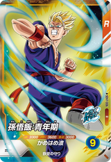 孫悟飯：青年期（SDV7-006）［R］
