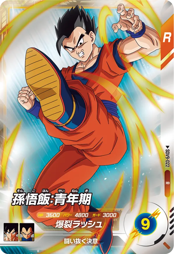 孫悟飯：青年期（SDV9-022）［R］