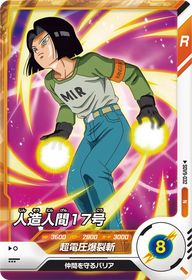 人造人間１７号（SDV9-032）［N］