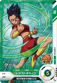 ケール（SDV9-042）［N］