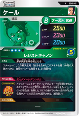 ケール（SDV9-042）［N］