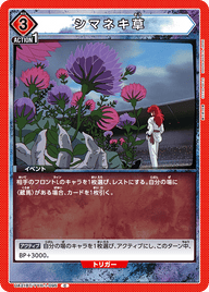 シマネキ草（UA21BT/YYH-1-095）［C］