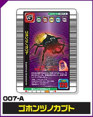 ゴホンヅノカブト（007-A）［未確定］