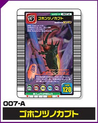 ゴホンヅノカブト（007-A）［未確定］