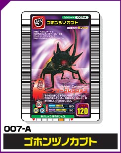 ゴホンヅノカブト（007-A）［未確定］